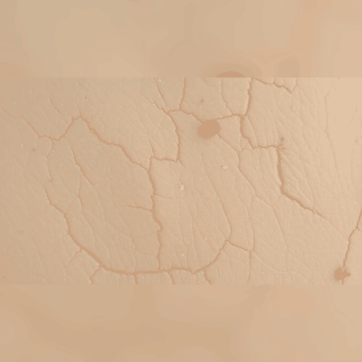 The Top 5 Best Ingredients for Dry Skin