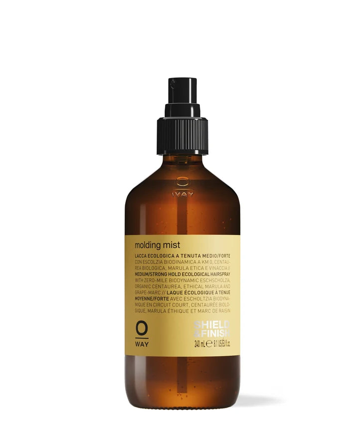 STYLING & FINISH Molding Mist 240ML | Oway